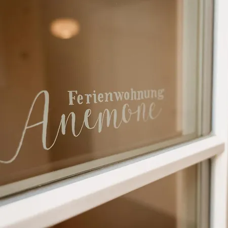 Urlaubsfreude Biedermann Haus Blumenglueck - Anemone Апартаменты Зебниц